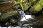 Ireland Cork and Kerry Killarney National Park