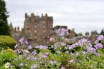 castles glamis castle 